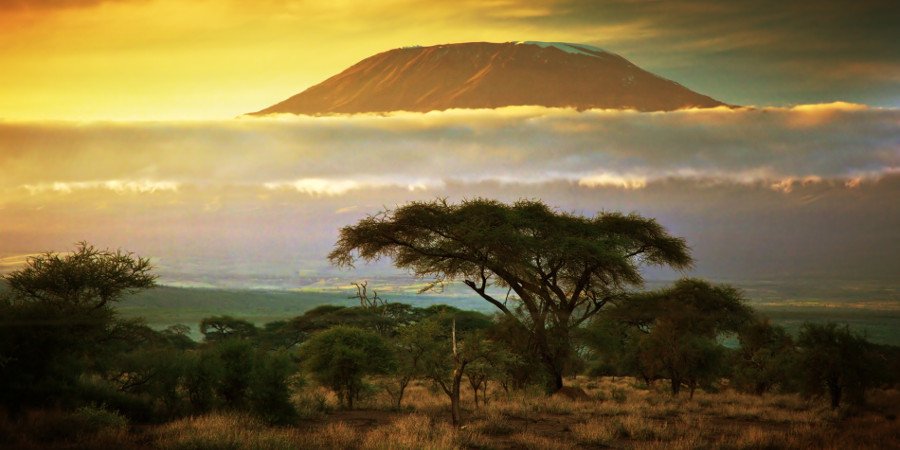 Il Kilimanjaro visto dall’Amboseli